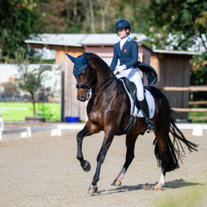 CDI Troisdorf 2023 - autumn