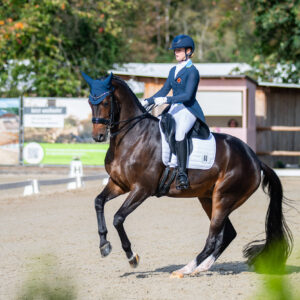 CDI Troisdorf 2023 - autumn