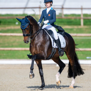 CDI Troisdorf 2023 - autumn