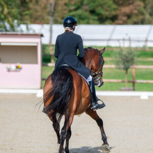 CDI Troisdorf 2023 - autumn