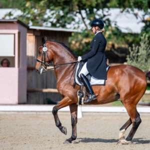 CDI Troisdorf 2023 - autumn