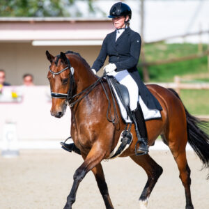 CDI Troisdorf 2023 - autumn