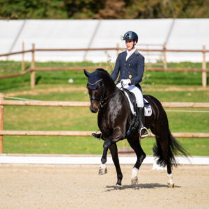 CDI Troisdorf 2023 - autumn