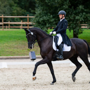 CDI Troisdorf 2023 - autumn