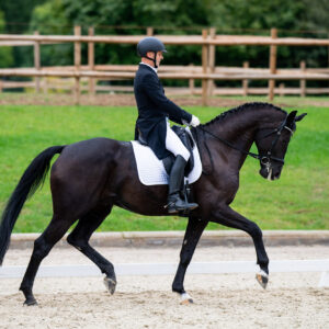 CDI Troisdorf 2023 - autumn