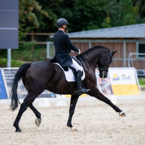 CDI Troisdorf 2023 - autumn