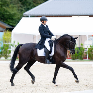 CDI Troisdorf 2023 - autumn