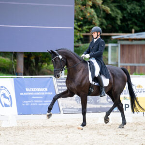CDI Troisdorf 2023 - autumn