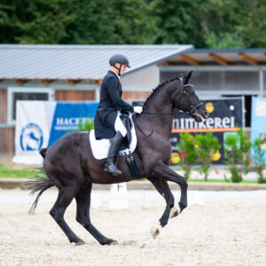 CDI Troisdorf 2023 - autumn
