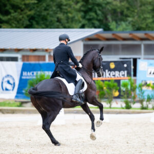 CDI Troisdorf 2023 - autumn