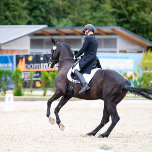 CDI Troisdorf 2023 - autumn