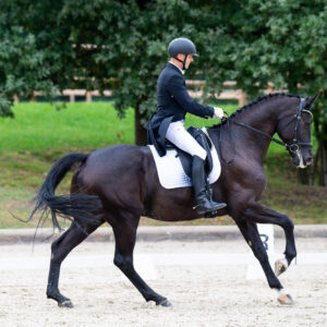 CDI Troisdorf 2023 - autumn