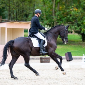 CDI Troisdorf 2023 - autumn