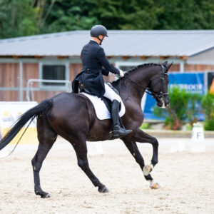 CDI Troisdorf 2023 - autumn