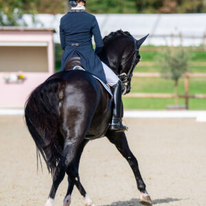CDI Troisdorf 2023 - autumn