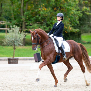 CDI Troisdorf 2023 - autumn