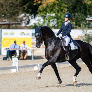 CDI Troisdorf 2023 - autumn