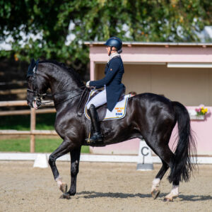 CDI Troisdorf 2023 - autumn