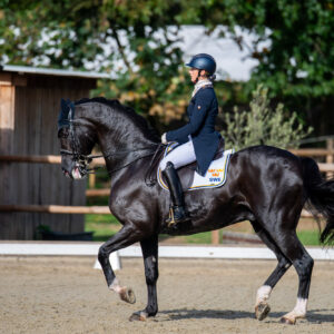 CDI Troisdorf 2023 - autumn