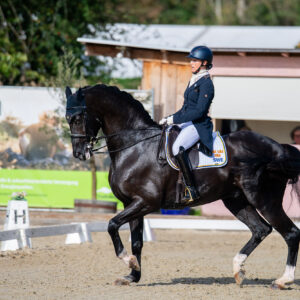 CDI Troisdorf 2023 - autumn