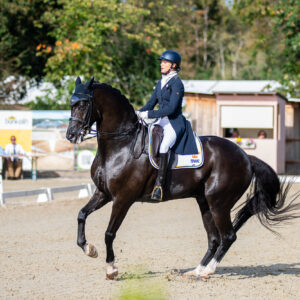 CDI Troisdorf 2023 - autumn