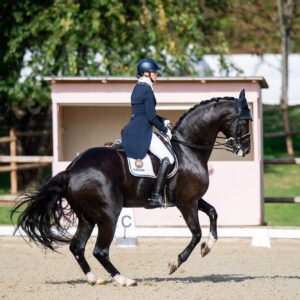 CDI Troisdorf 2023 - autumn