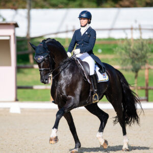CDI Troisdorf 2023 - autumn
