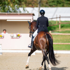 CDI Troisdorf 2023 - autumn
