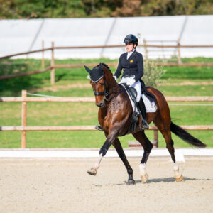 CDI Troisdorf 2023 - autumn