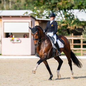 CDI Troisdorf 2023 - autumn