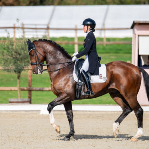 CDI Troisdorf 2023 - autumn