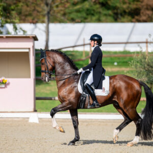 CDI Troisdorf 2023 - autumn