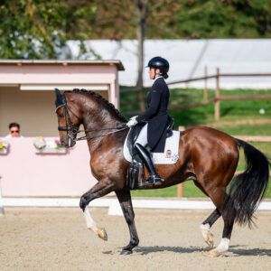 CDI Troisdorf 2023 - autumn