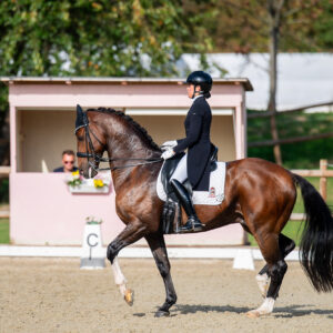 CDI Troisdorf 2023 - autumn
