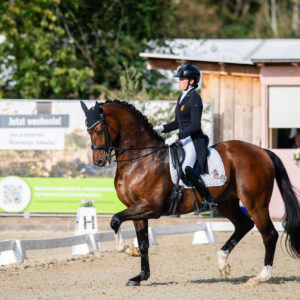 CDI Troisdorf 2023 - autumn