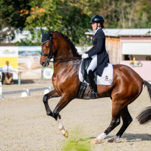 CDI Troisdorf 2023 - autumn