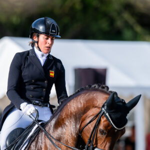 CDI Troisdorf 2023 - autumn