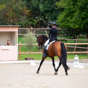 CDI Troisdorf 2023 - autumn