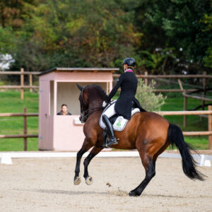 CDI Troisdorf 2023 - autumn
