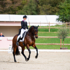 CDI Troisdorf 2023 - autumn