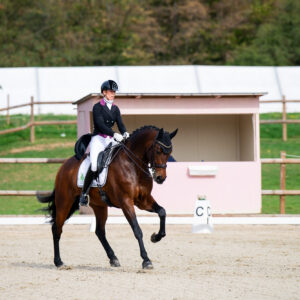 CDI Troisdorf 2023 - autumn