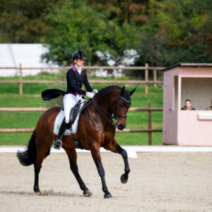 CDI Troisdorf 2023 - autumn