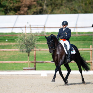 CDI Troisdorf 2023 - autumn