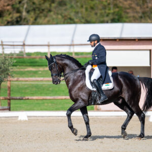 CDI Troisdorf 2023 - autumn