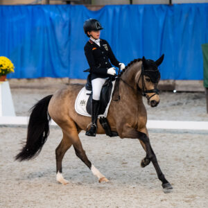CDI Wroclaw 2023 - autumn