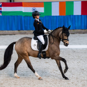 CDI Wroclaw 2023 - autumn