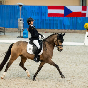 CDI Wroclaw 2023 - autumn