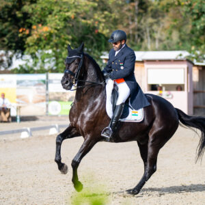 CDI Troisdorf 2023 - autumn