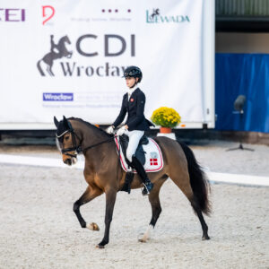 CDI Wroclaw 2023 - autumn