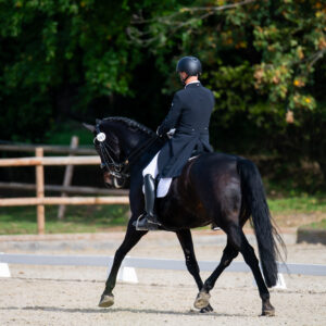 CDI Troisdorf 2023 - autumn